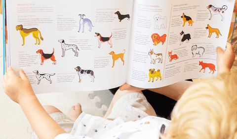 El problema de la atención en niños y jóvenes: la lectura como solución