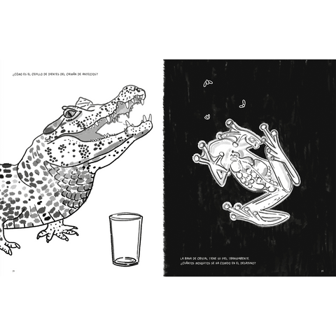 Libros Amanuta Bitácora Anfibios y reptiles, bitácora para imaginar 9789563642995