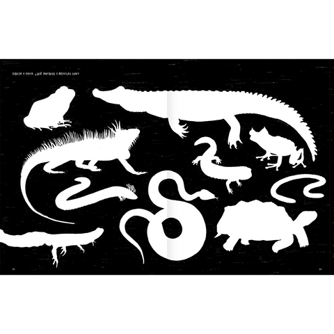 Libros Amanuta Bitácora Anfibios y reptiles, bitácora para imaginar 9789563642995