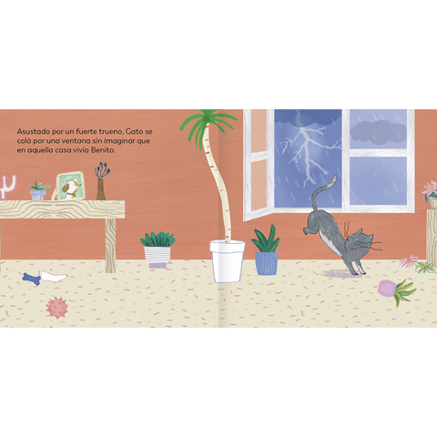 Pack Animales Curiosos