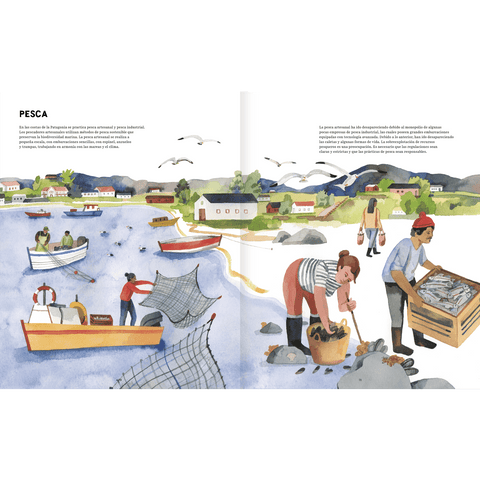 Libros Amanuta Informativo Patagonia 9789563643732