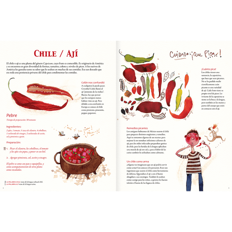 Libros Amanuta Patrimonio y cultura Sabores de América 9789569330186