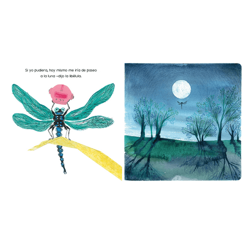 Libros Amanuta Libros de bebé Sueños en el jardín 9789563641165