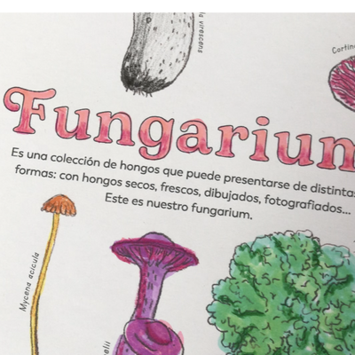 Pinta tu Fungarium