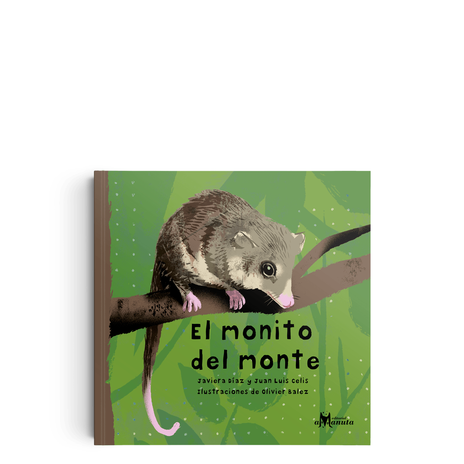 El monito del monte